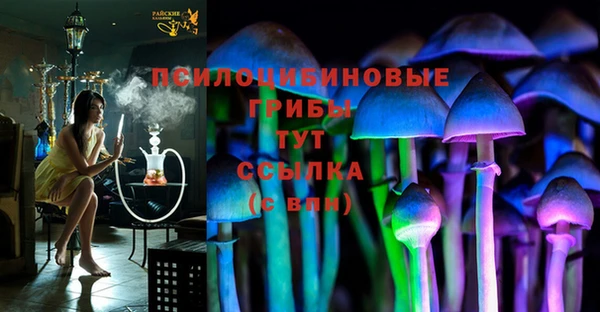MDMA Premium VHQ Краснослободск