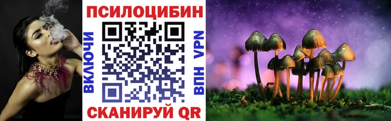 Купить  Пучеж  Псилоцибиновые грибы Cubensis 